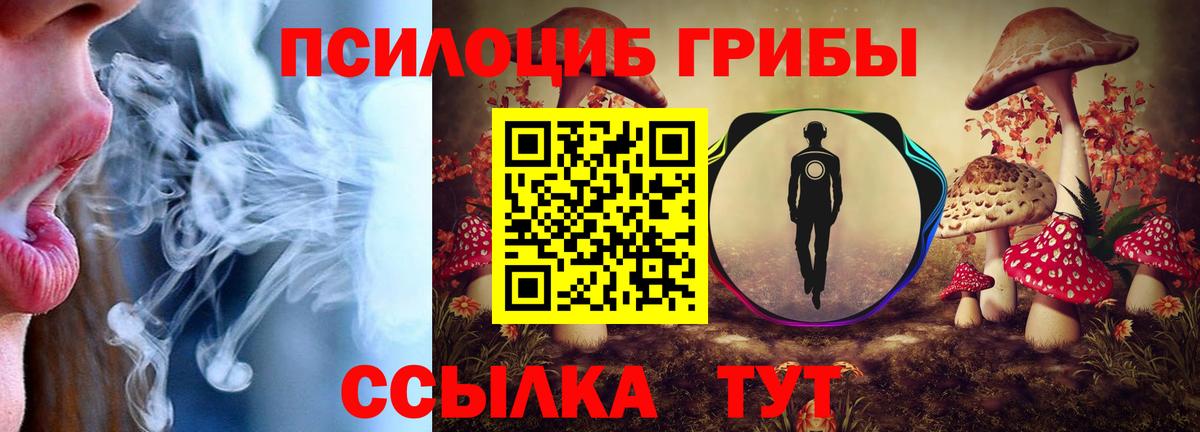 Галлюциногенные грибы Psilocybine cubensis Избербаш